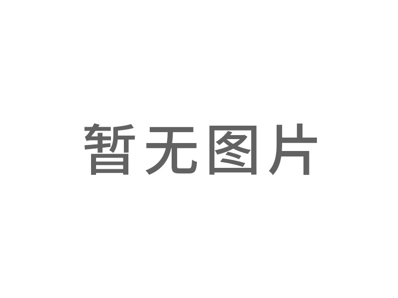 110ZYT永磁直流電機(jī)